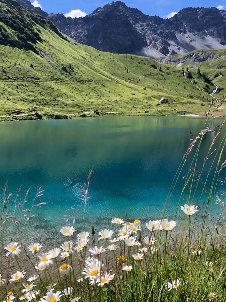 Sommer am Schwellisee